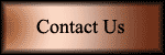 Contact Us Link Button